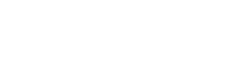 KBIZ PARTNERS